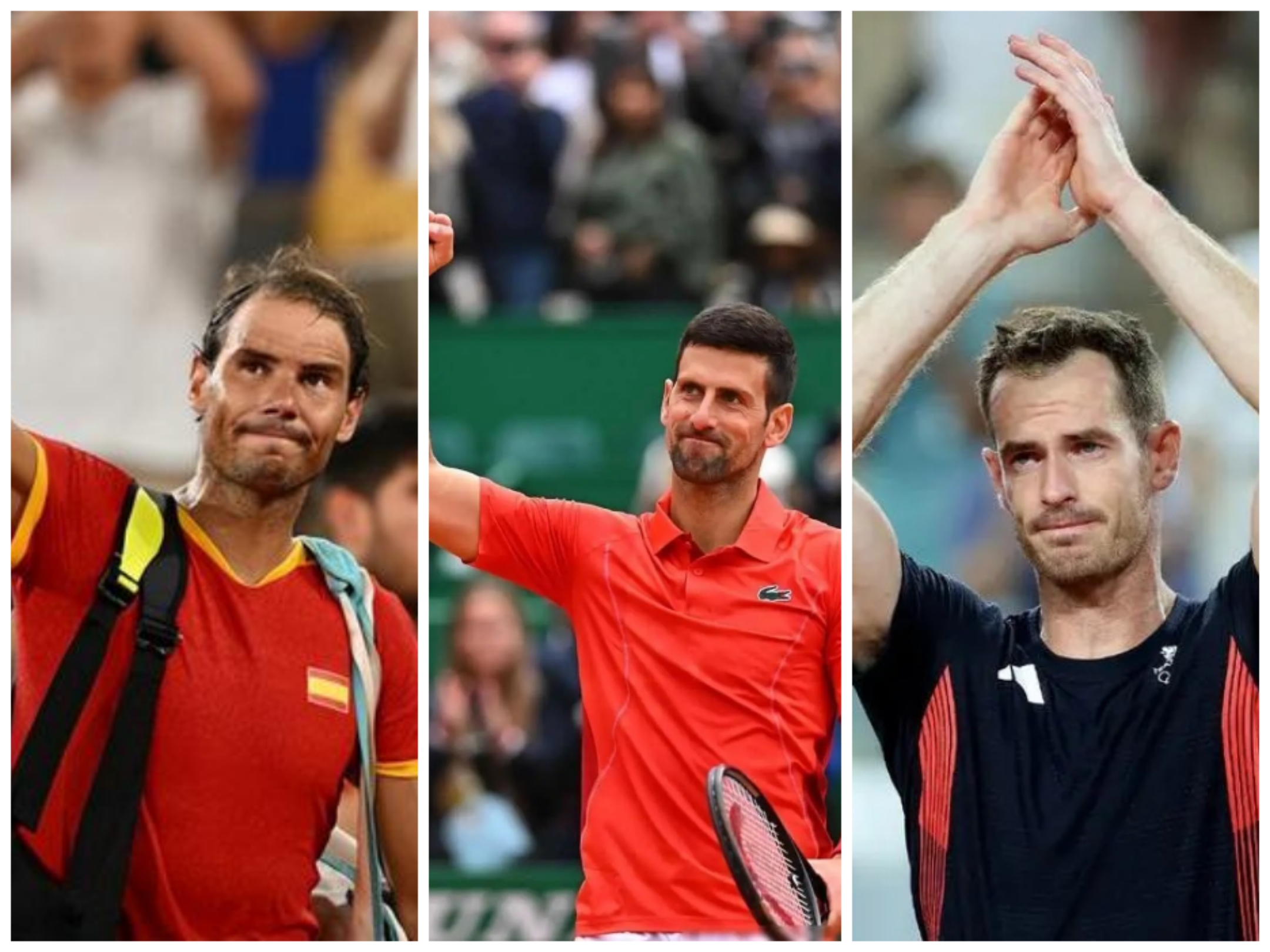 英国网球队完胜法国网球队，穆雷关键制胜的简单介绍