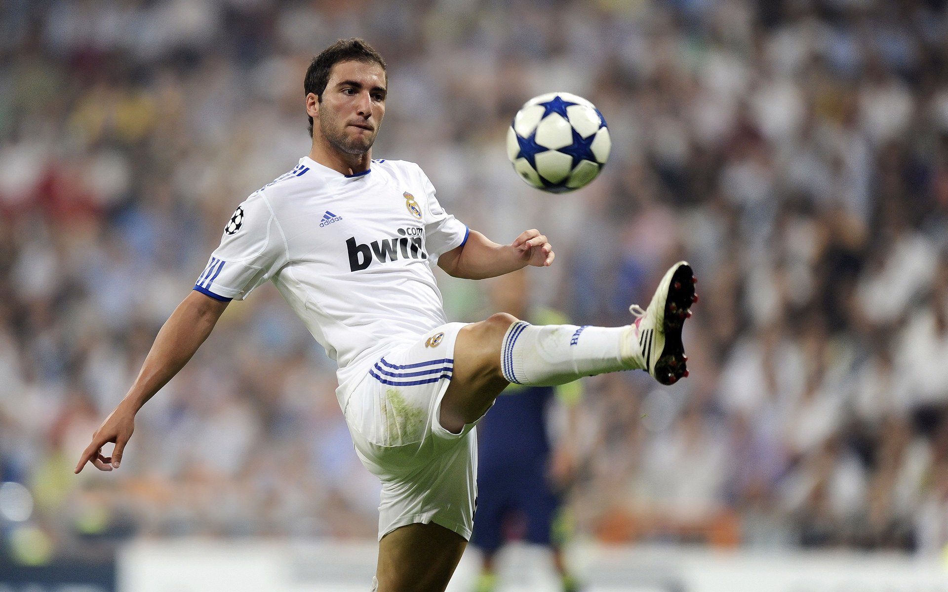 当广厦遇上公牛，拉梅洛的硬仗基因与东方篮球哲学的碰撞